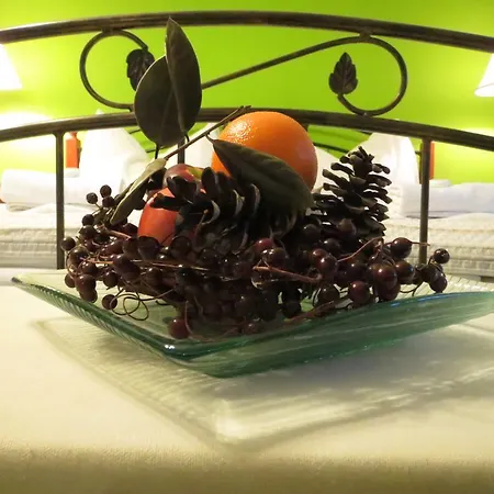 Srdicko Uście nad Łabą